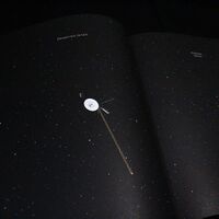 Image de La nuit est pleine de promesses